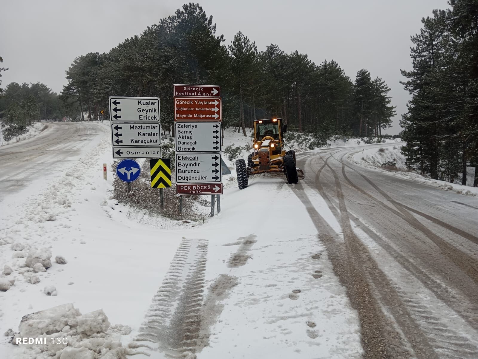 36540 M T Y5 N T Bl O D