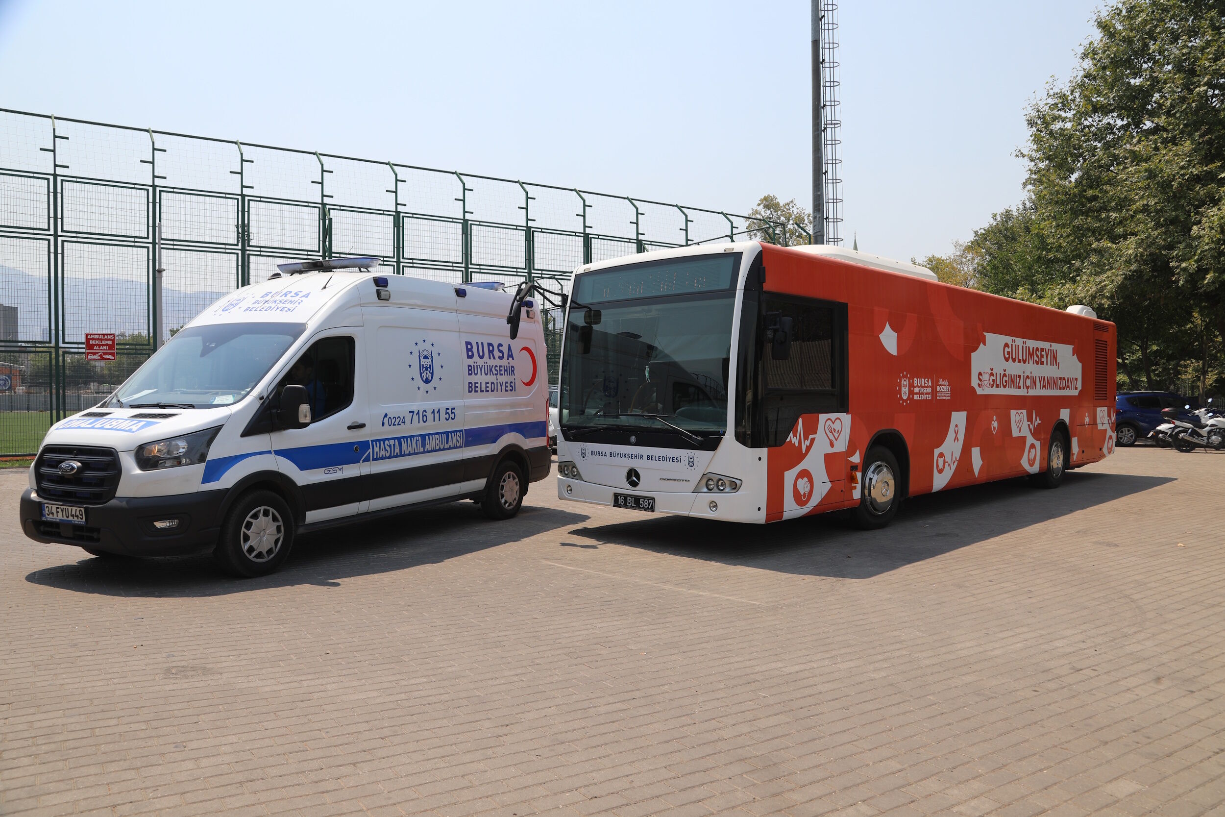 36558 M T Y5 N Tc4 M D