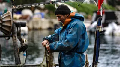 Bursa Büyükşehir Belediyesi’nin tarımsal üretimi desteklemek ve artan girdi maliyetlerini