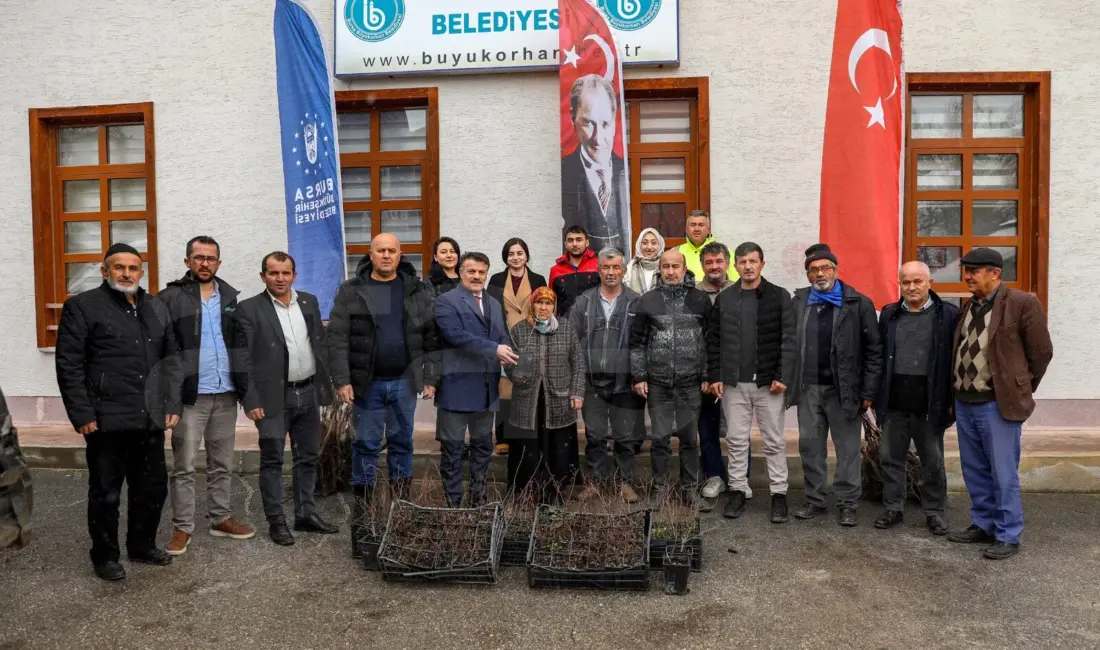 Bursa Büyükşehir Belediyesi, Harmancık ve Büyükorhan’da üreticilere aspir tohumu ve