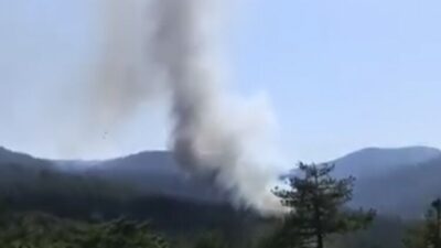 Bursa’nın Harmancık ilçesinde devam eden orman yangını, günlerdir etkisini sürdürüyor