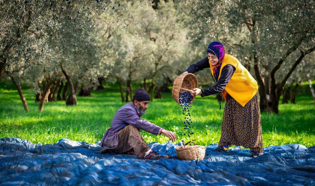 Gemlik Belediyesi ile Bursa Fotoğraf ve Sinema Amatörleri Derneği iş