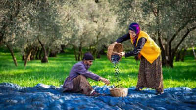 Gemlik Belediyesi ile Bursa Fotoğraf ve Sinema Amatörleri Derneği iş