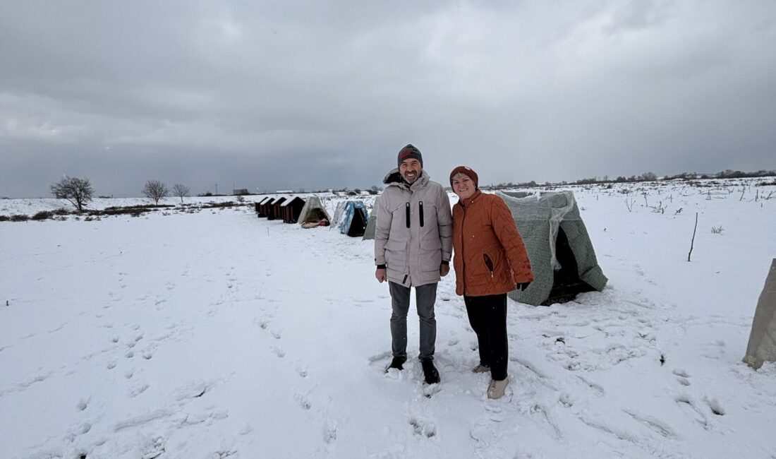 PAHADER'den soğuk kış günlerinde sokak hayvanlarına duyarlı destek!