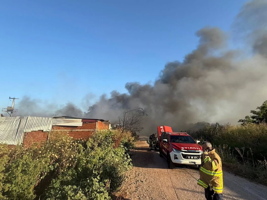 510044247 30208828758762644 4667725651003392824 N