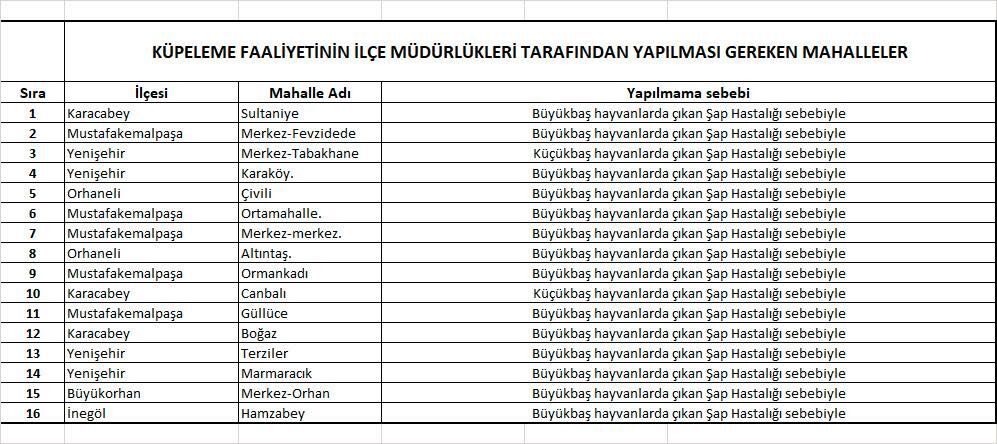 571640119 10166740699147580 877903704505713176 N