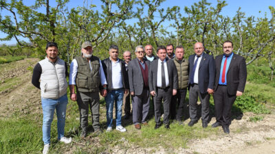 Osmangazi Belediye Başkanı Erkan Aydın, zirai dondan etkilenen çiftçileri ziyaret