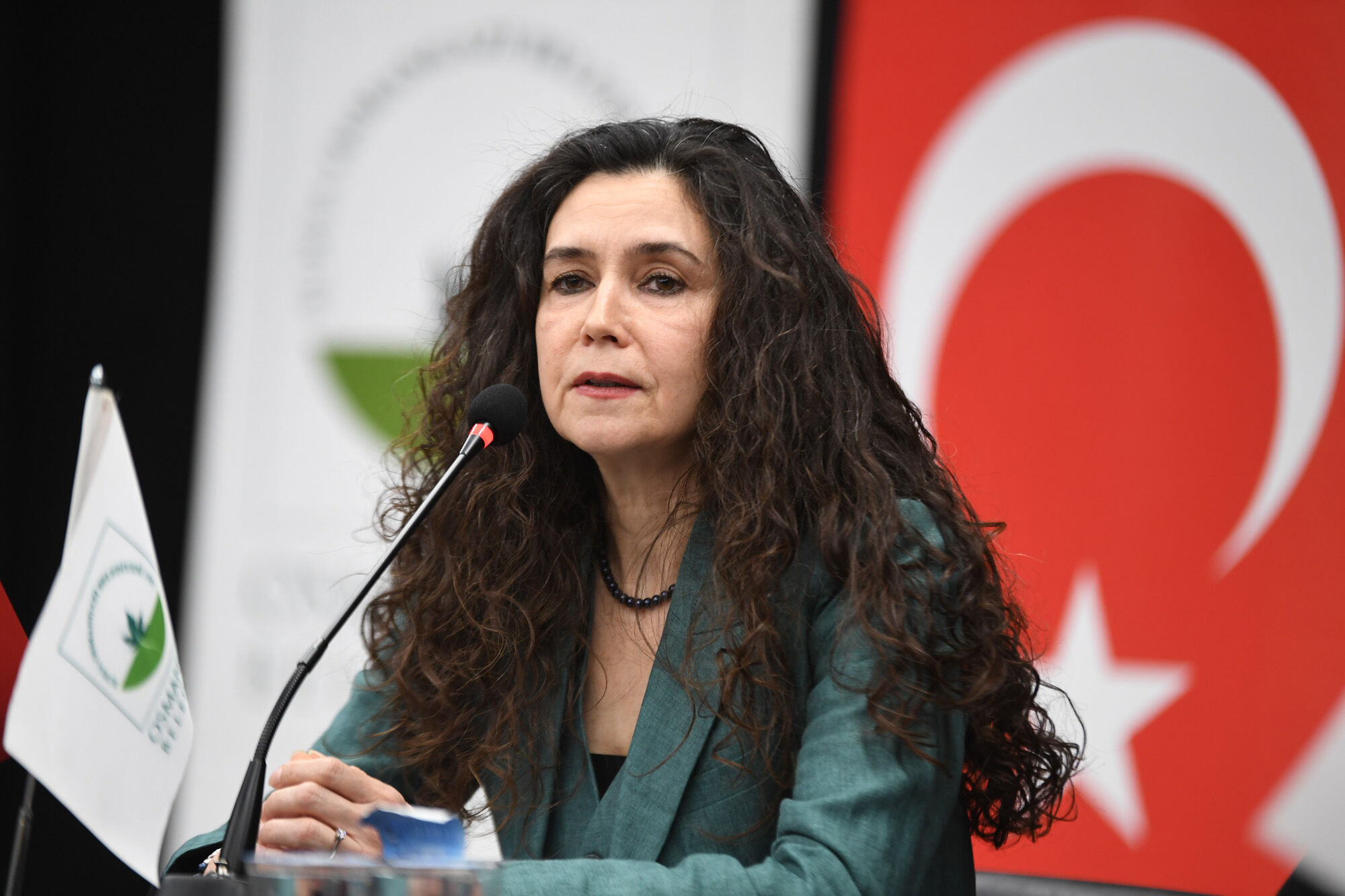 680648B38Bf0E163972272