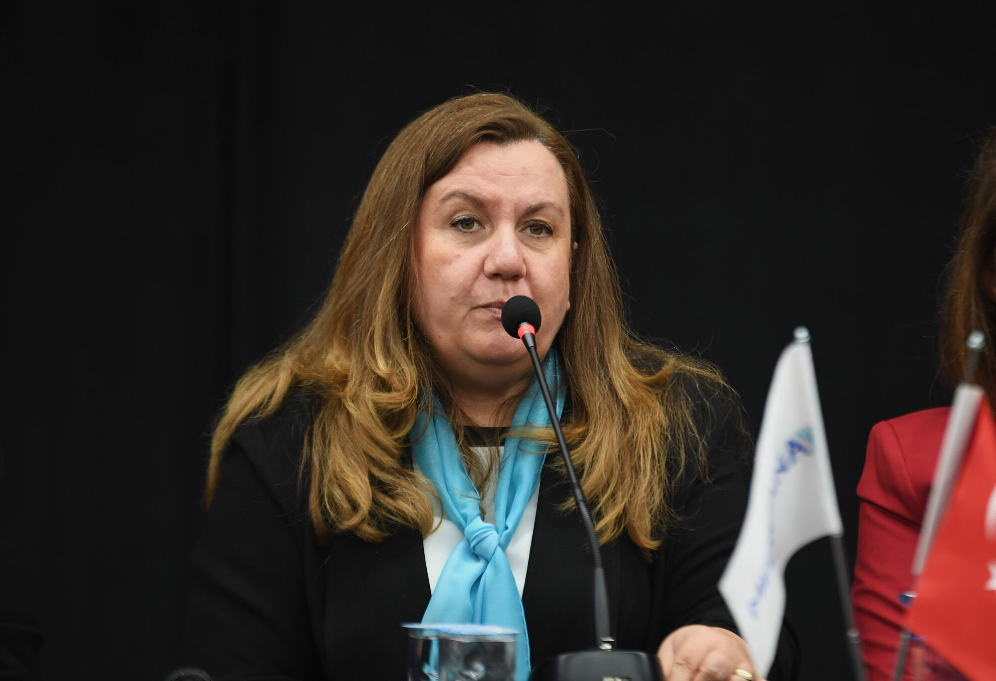 680648B4Ad238881343549