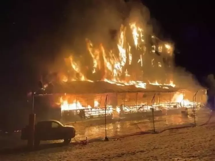 6889C1Baa53666E04Beb9379