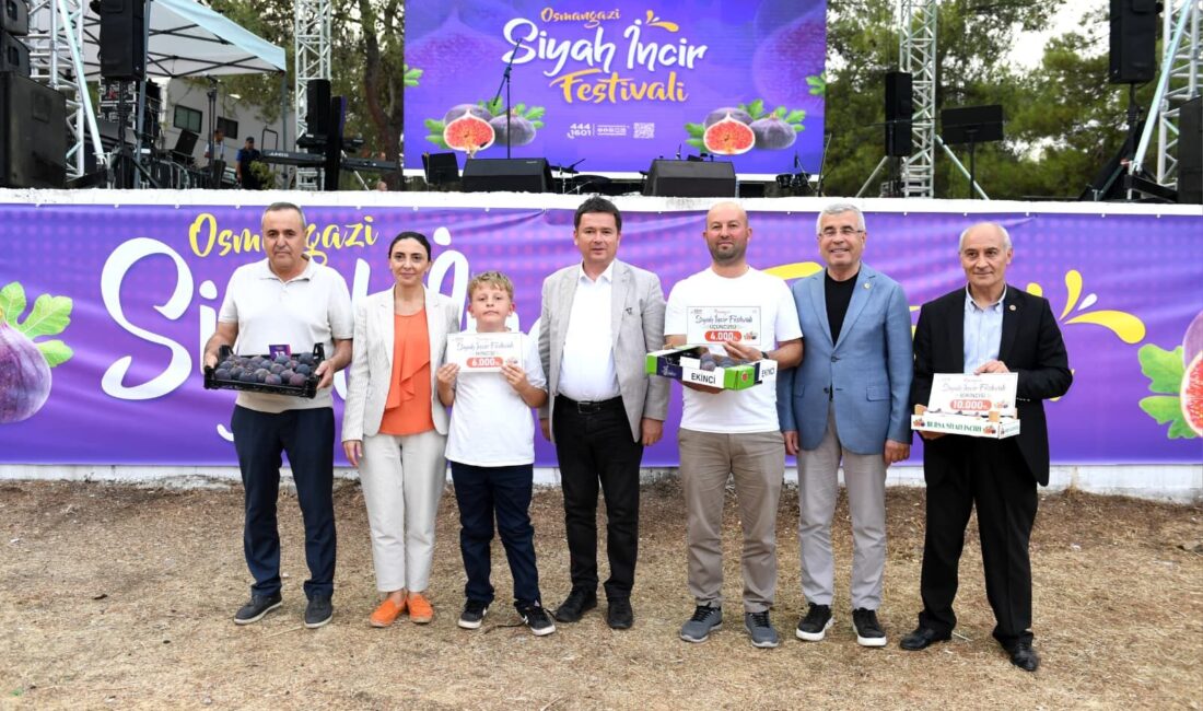 Osmangazi Belediyesi Bursa’nın coğrafi işaretli dünyaca ünlü siyah incirine festival