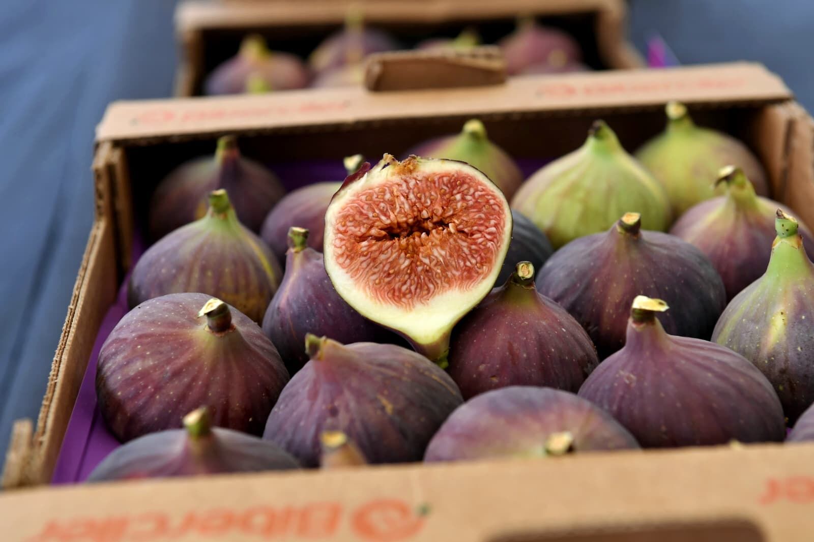 68Be912D59F17548922518