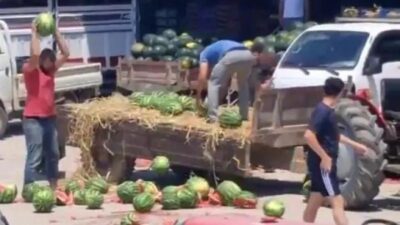Sakarya’nın Geyve ilçesindeki Safibey Ürün Toplama Merkezi'nde 13 Temmuz Cumartesi
