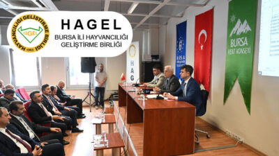 Bursa ili Hayvancılığı Geliştirme Birliği (HAGEL), 26 Şubat Çarşamba günü