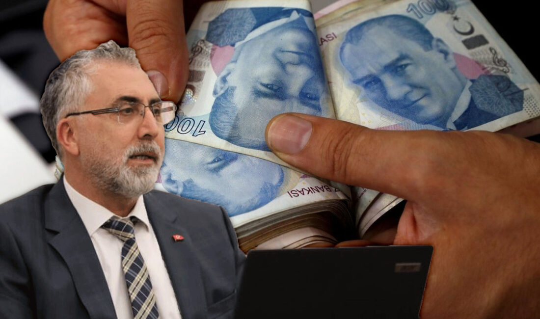 Çalışma ve Sosyal Güvenlik Bakanı Prof. Dr. Vedat Işıkhan, meslek