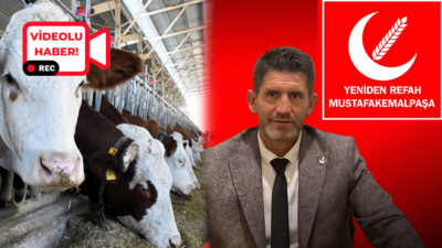 Mustafakemalpaşa’da hayvancılıkla geçimini sağlayan üreticiler, son günlerde bölgede yeniden baş