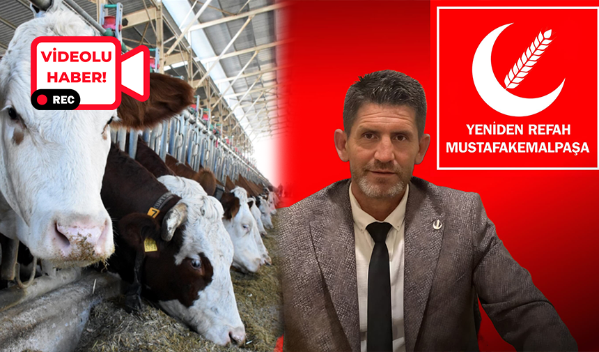 Mustafakemalpaşa’da hayvancılıkla geçimini sağlayan üreticiler, son günlerde bölgede yeniden baş