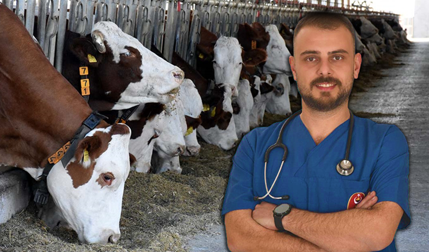 Mustafakemalpaşa’da son dönemde artan şap hastalığı vakalarıyla ilgili sessizlik sürerken,