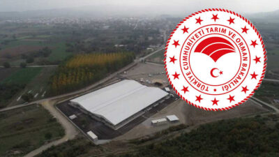 Tarım ve Orman Bakanlığı, hayvan pazarlarının yapay et üretimi için