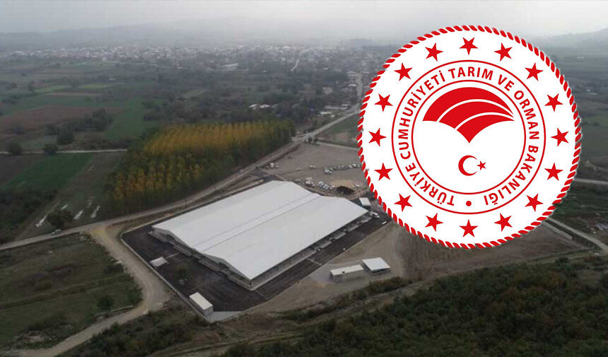 Tarım ve Orman Bakanlığı, hayvan pazarlarının yapay et üretimi için