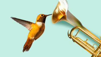 Bursa Büyükşehir Belediyesi tarafından düzenlenen 4. Yeşil Bursa Uluslararası Bandolar