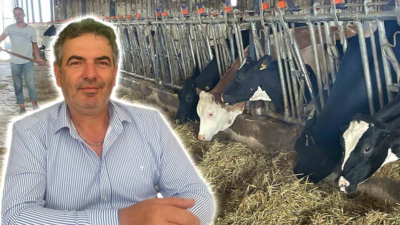 Bursalı süt üreticileri, rekabet kurulunun süt sektöründeki 39 teşebbüs hakkında