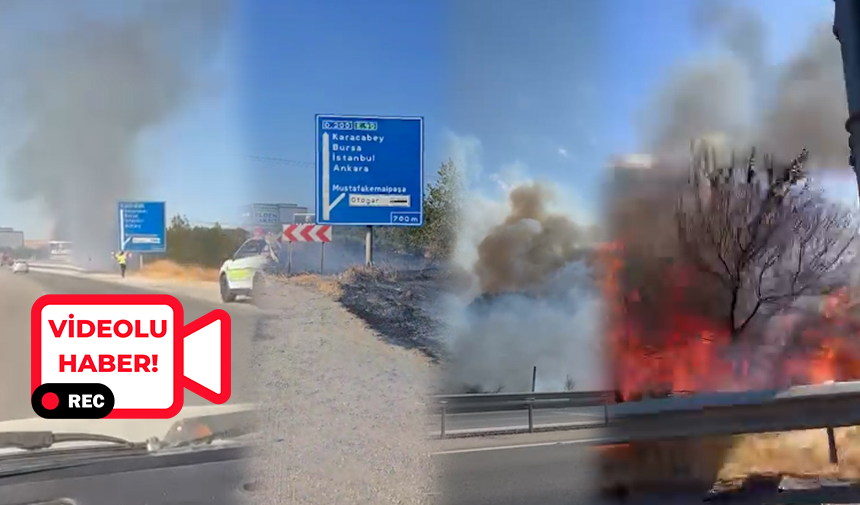 Yunus Club yakınları ve Devlet Hastanesi karşısında çıkan otluk ve