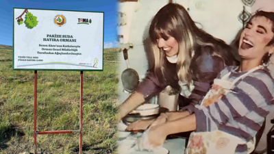 Türk müziğinin usta ismi Sezen Aksu, 2022 yılında vefat eden