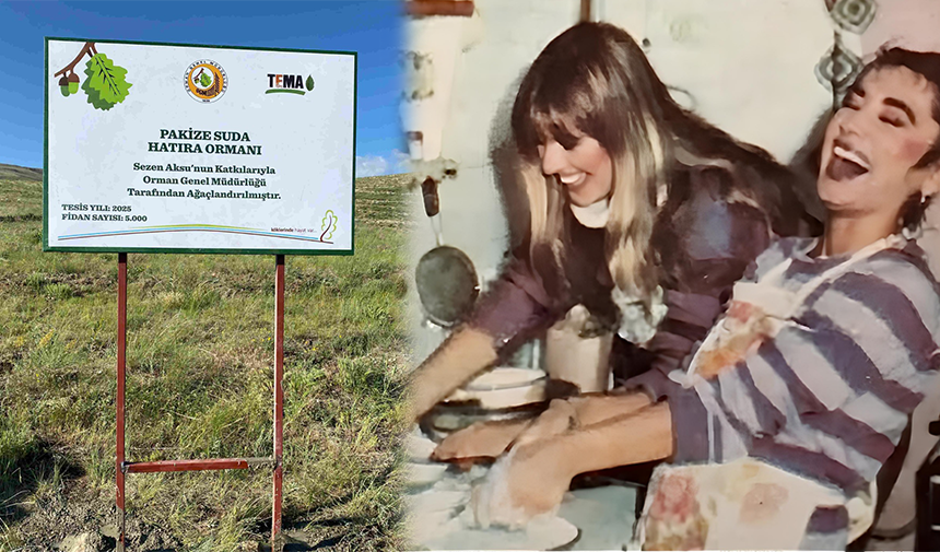 Türk müziğinin usta ismi Sezen Aksu, 2022 yılında vefat eden