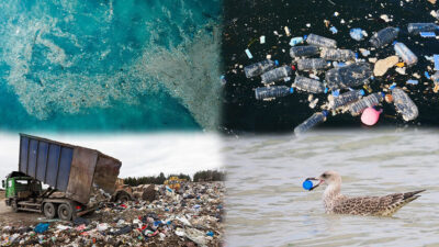 TEMA Vakfı, Dünya Çevre Günü'nde plastik kirliliğinin çevre, iklim ve