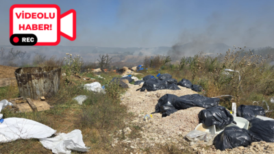 Millet Bahçesi’ne yalnızca 500 metre mesafede, dere boyuna yakın otluk