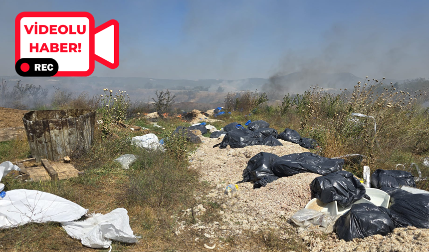 Millet Bahçesi’ne yalnızca 500 metre mesafede, dere boyuna yakın otluk