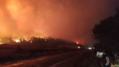 Bursa’nın Karacabey ilçesinde ormanlık alanda çıkan yangın, rüzgarın etkisiyle kısa