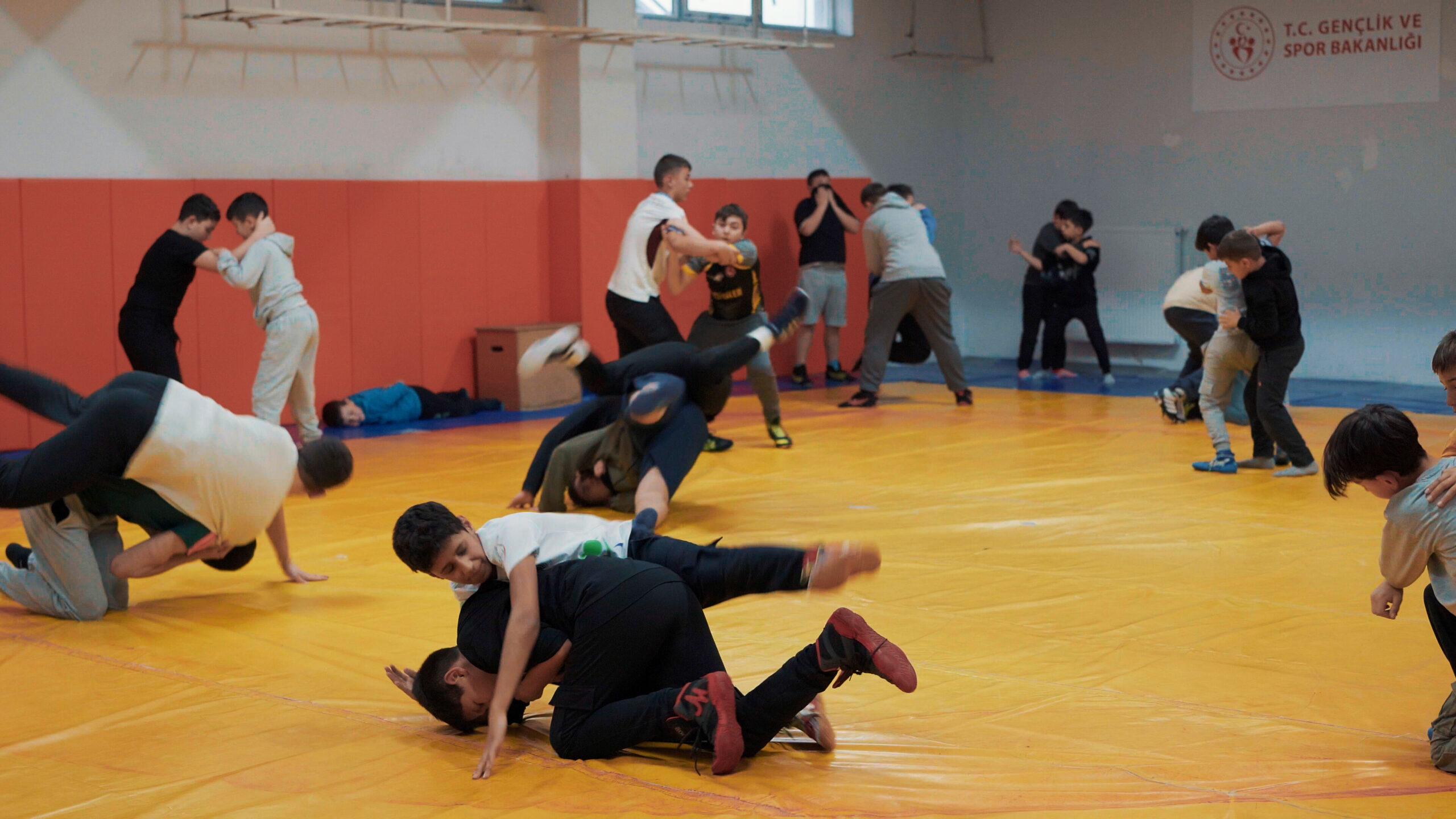 C0004.00 00 48 05. Still002