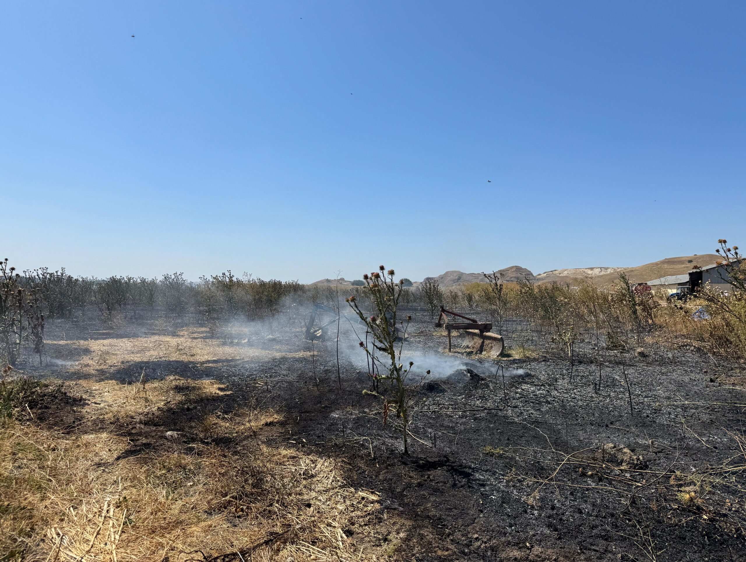 C5Ce2Cc4 5D09 4B38 9B49 5Aff4D5Bce10