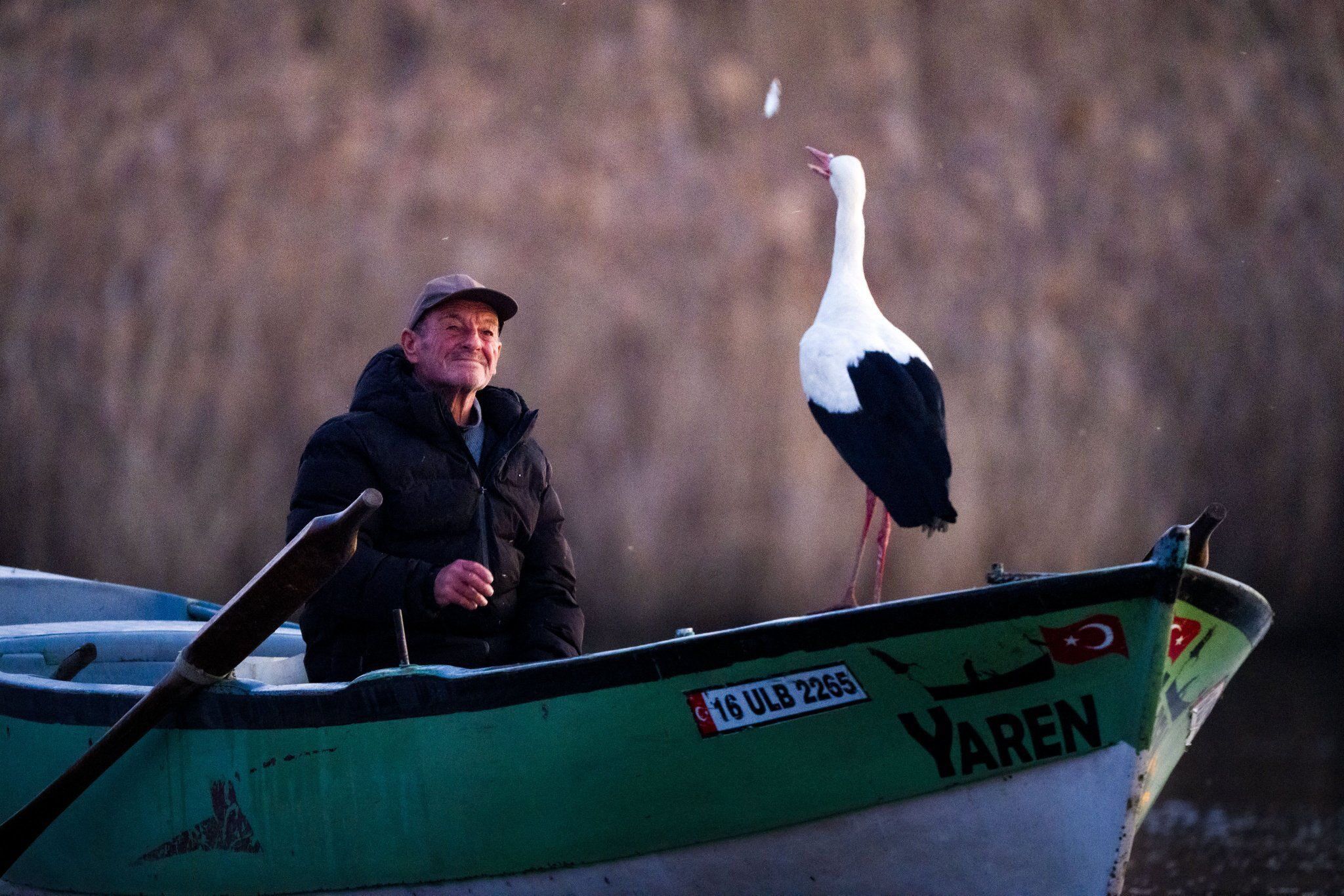 Gm Em Nj2Bc A E7 Yr D