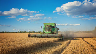 Tarım ve Orman Bakanlığı, bugün çiftçilerin hesaplarına toplamda 112 milyon