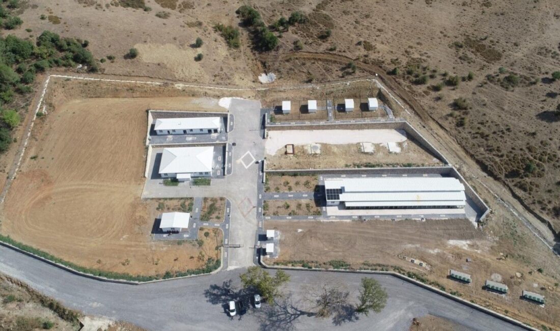 Orhangazi Belediyesi sokak hayvanları için Türkiye’nin en modern ve en