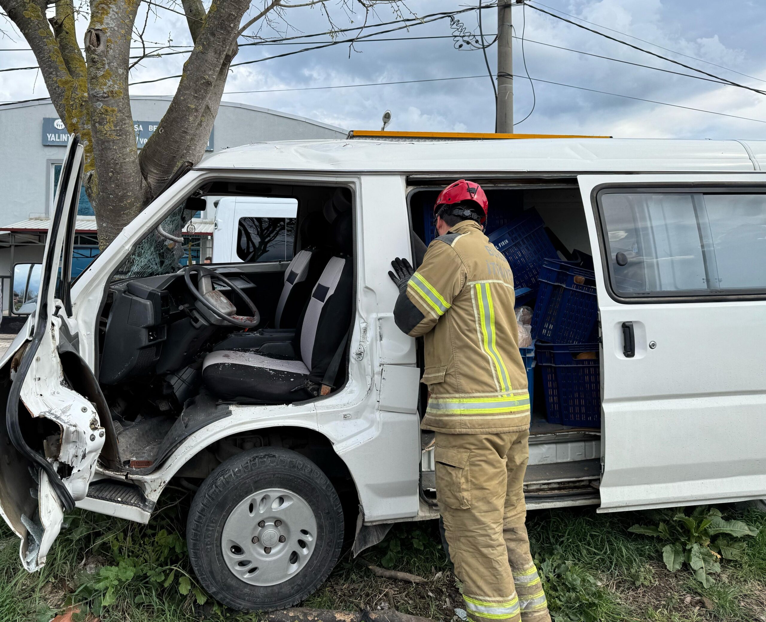 I M G 20250329 W A0019