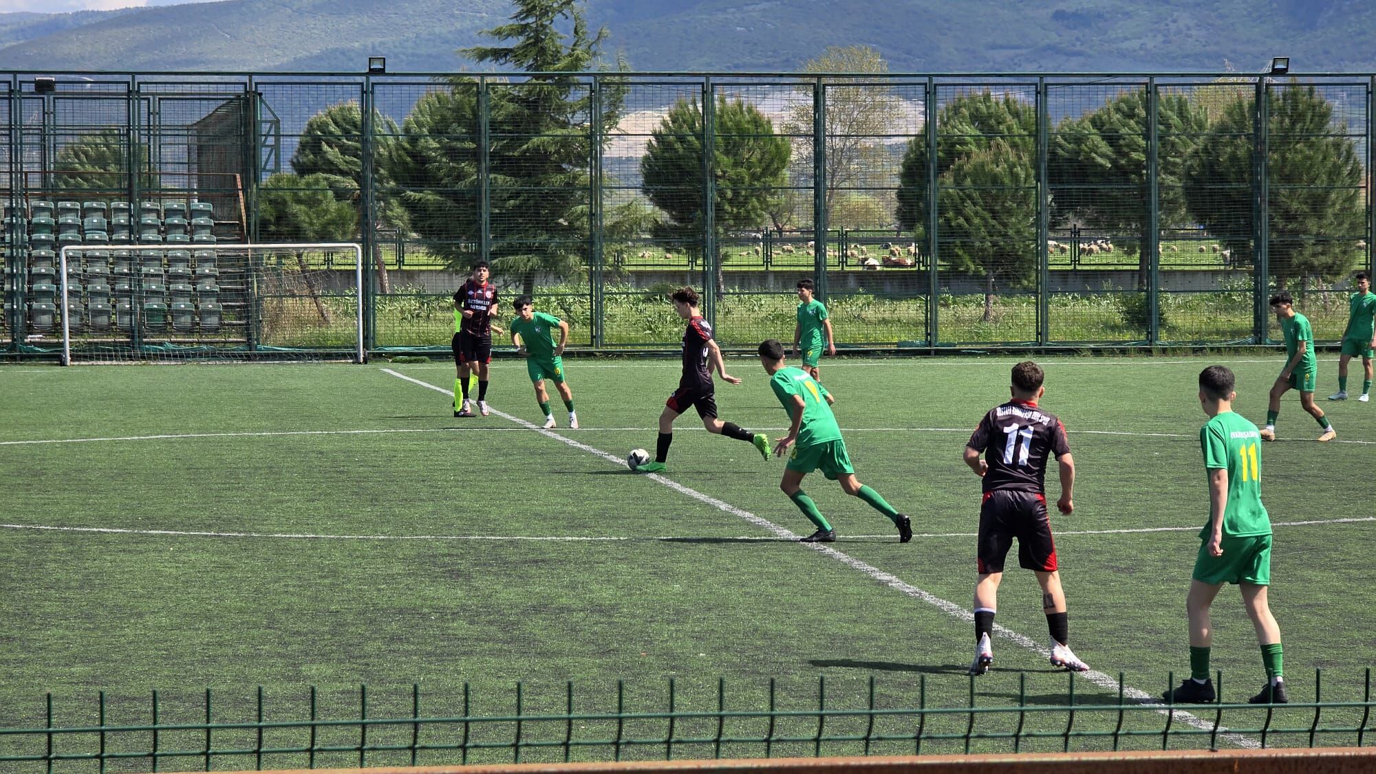 I M G 20250406 W A0052