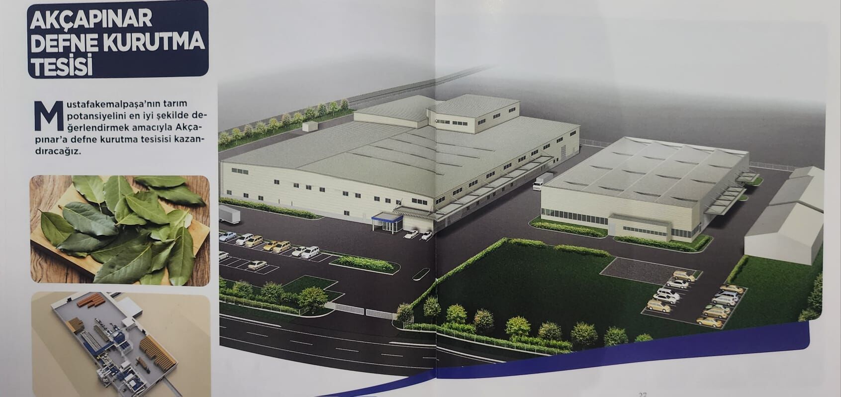 I M G 20250426 W A0026