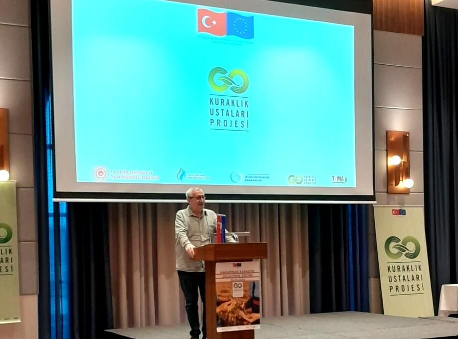 I M G 20250513 W A0008