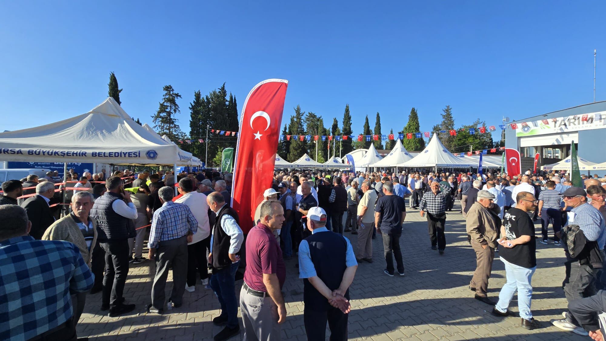 I M G 20250601 W A0080