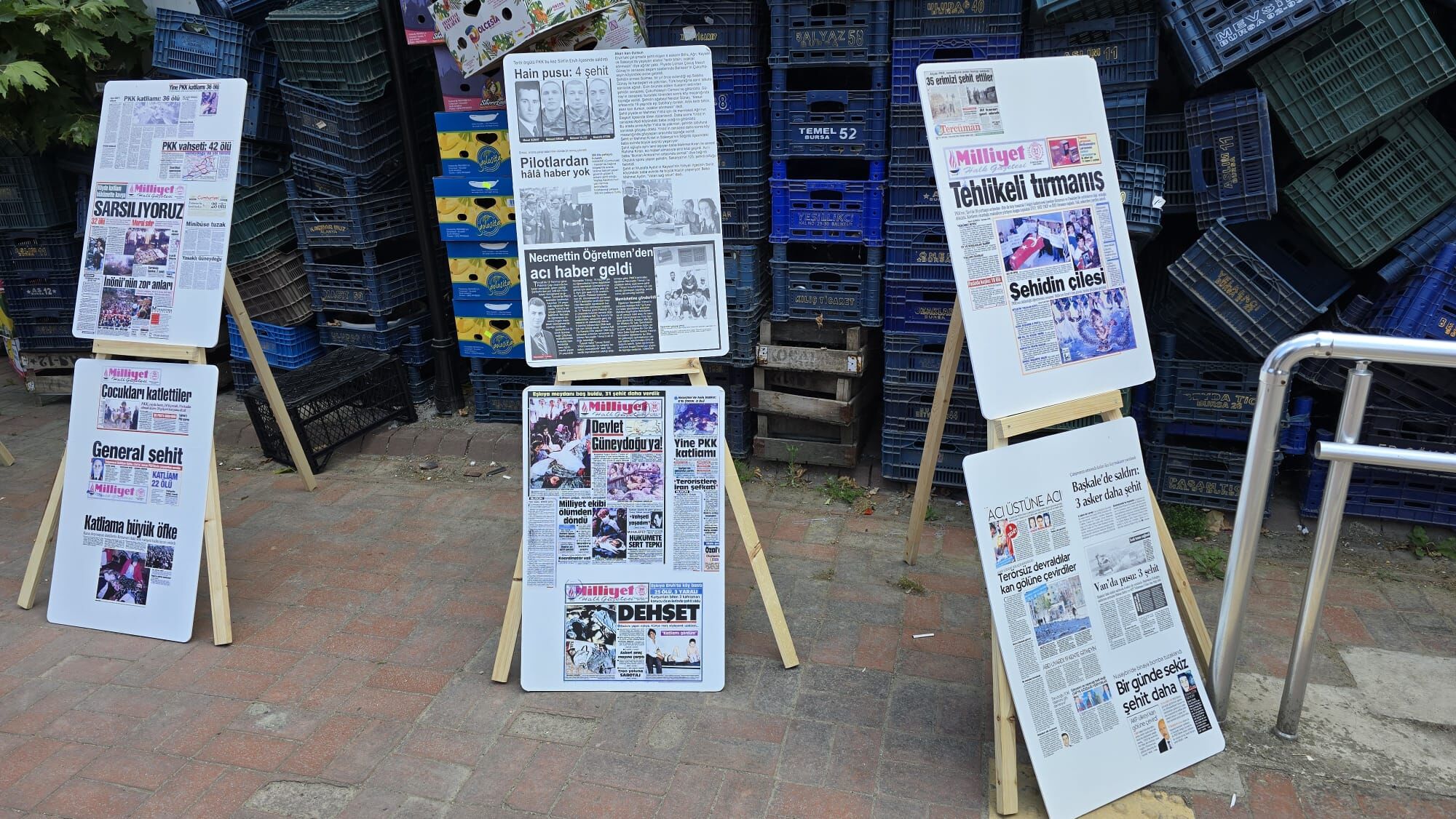 I M G 20250602 W A0030