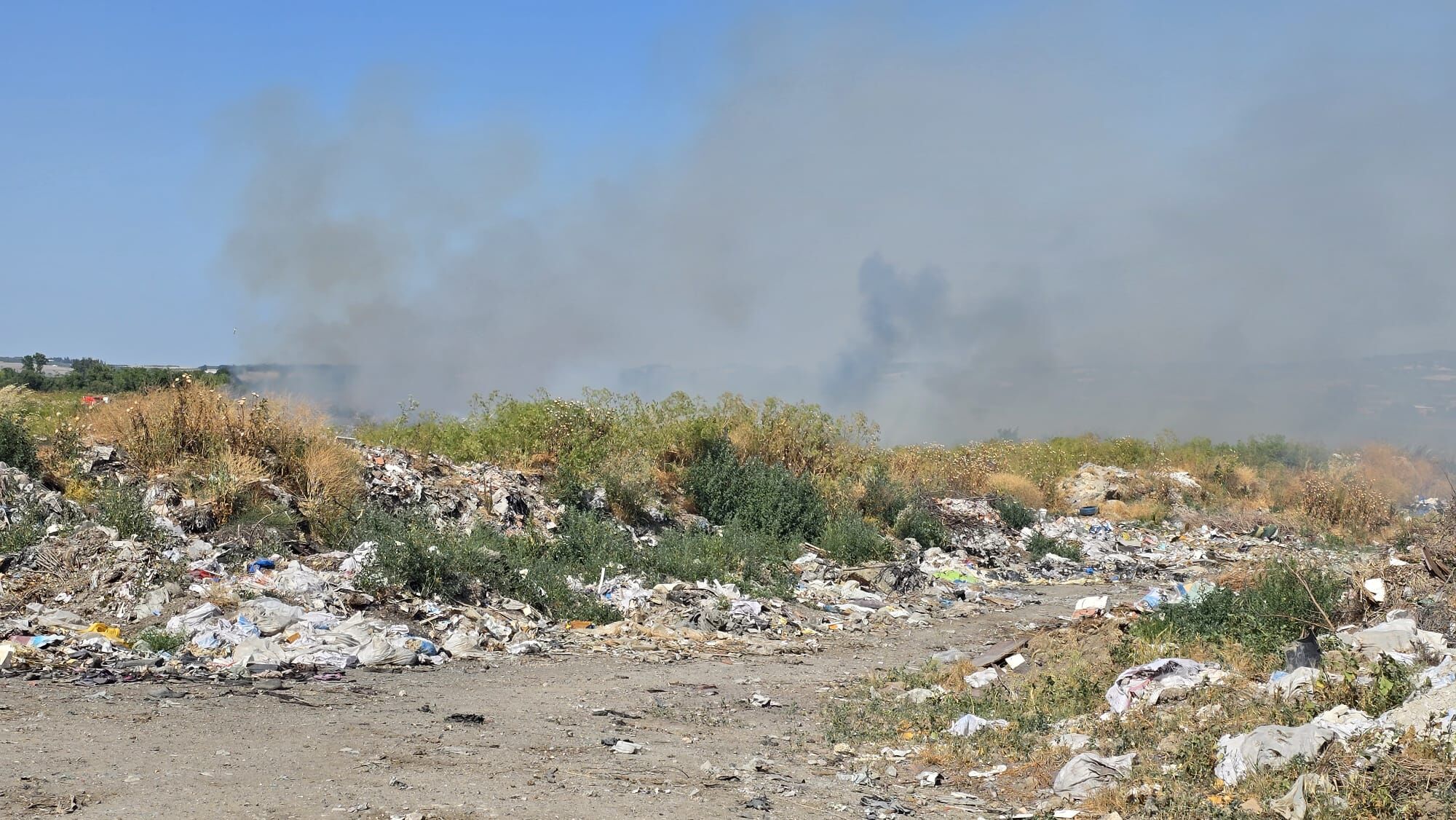 I M G 20250619 W A0016