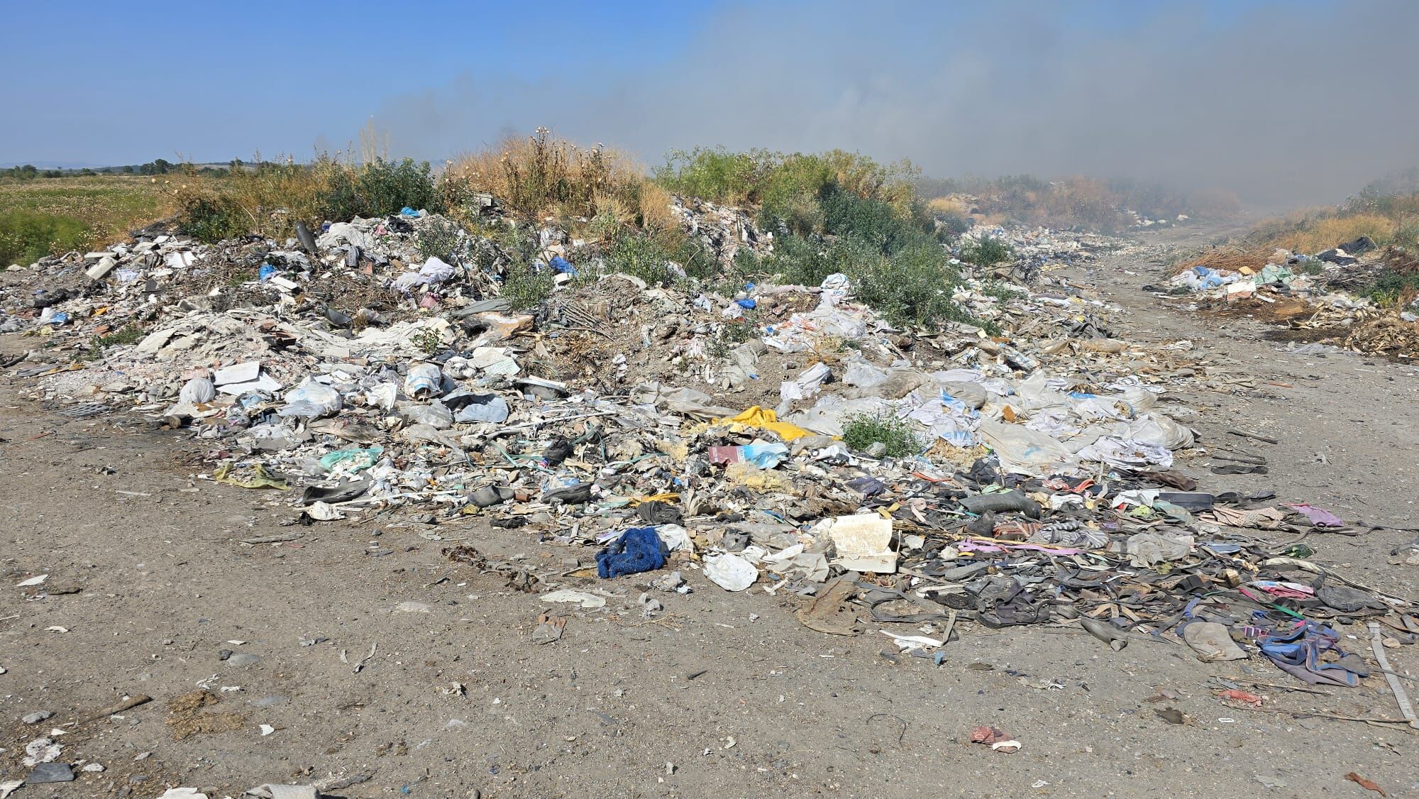 I M G 20250619 W A0018