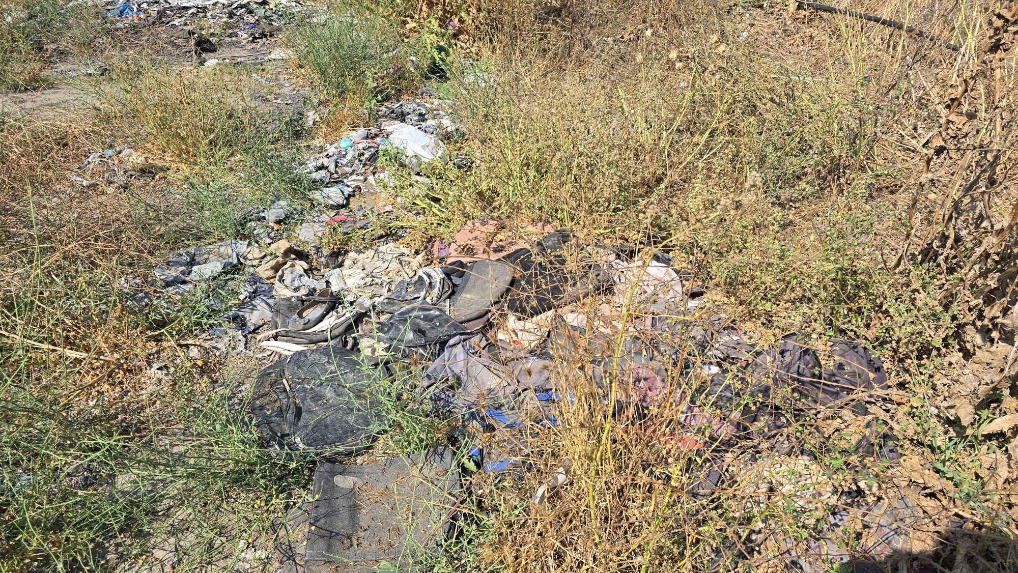 I M G 20250619 W A0019