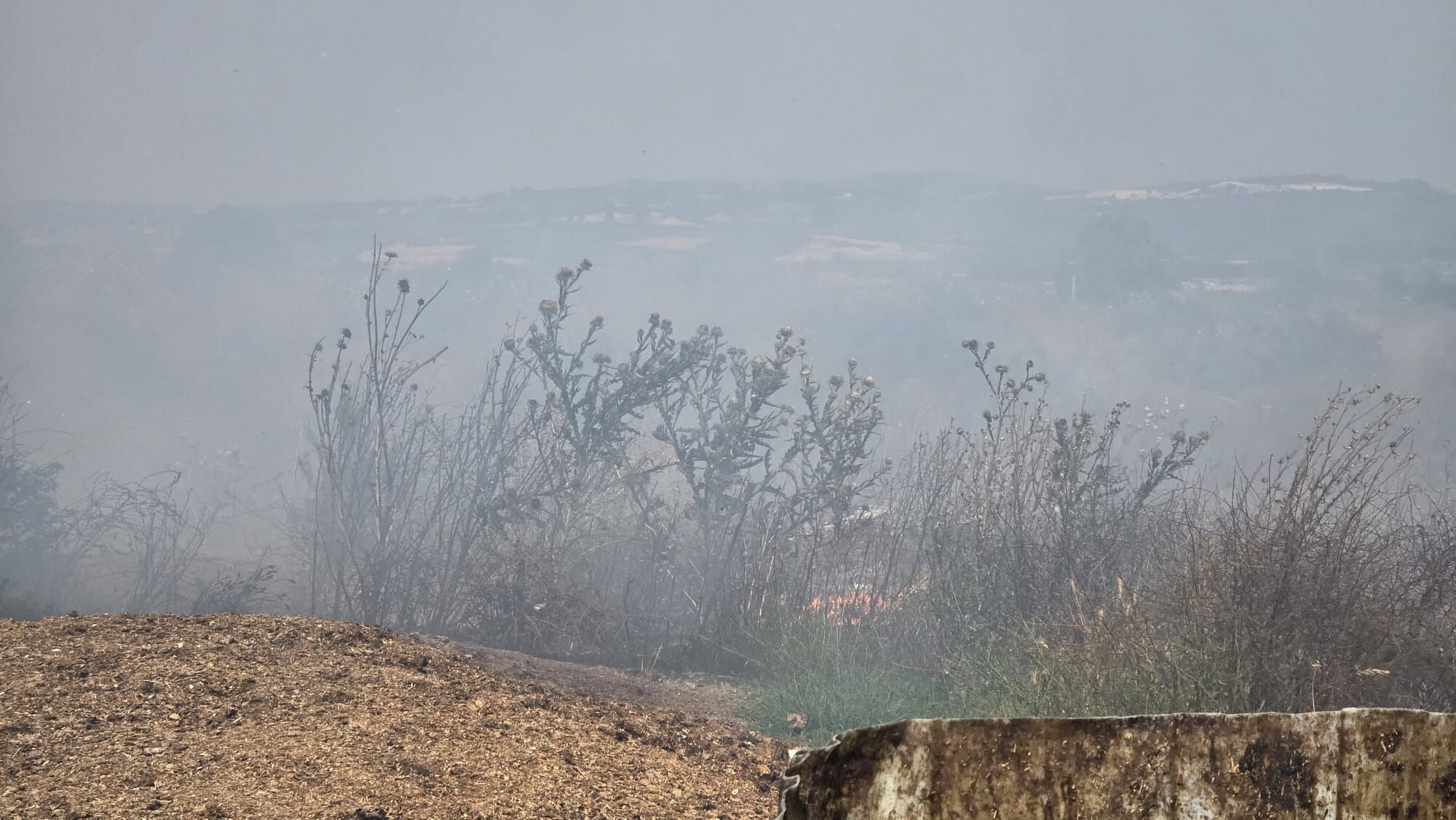 I M G 20250619 W A0021