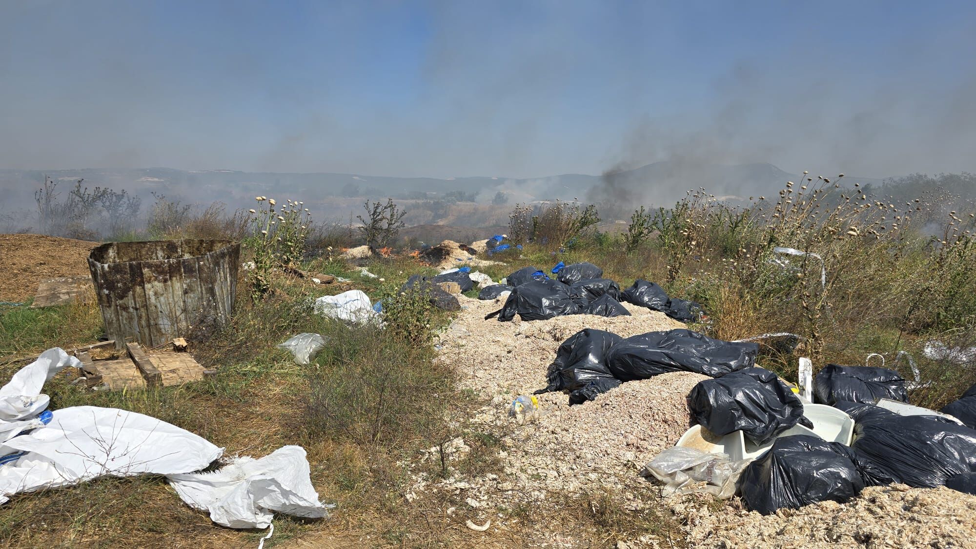 I M G 20250619 W A0022