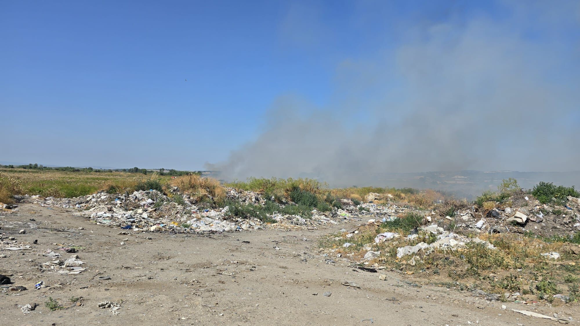 I M G 20250619 W A0023